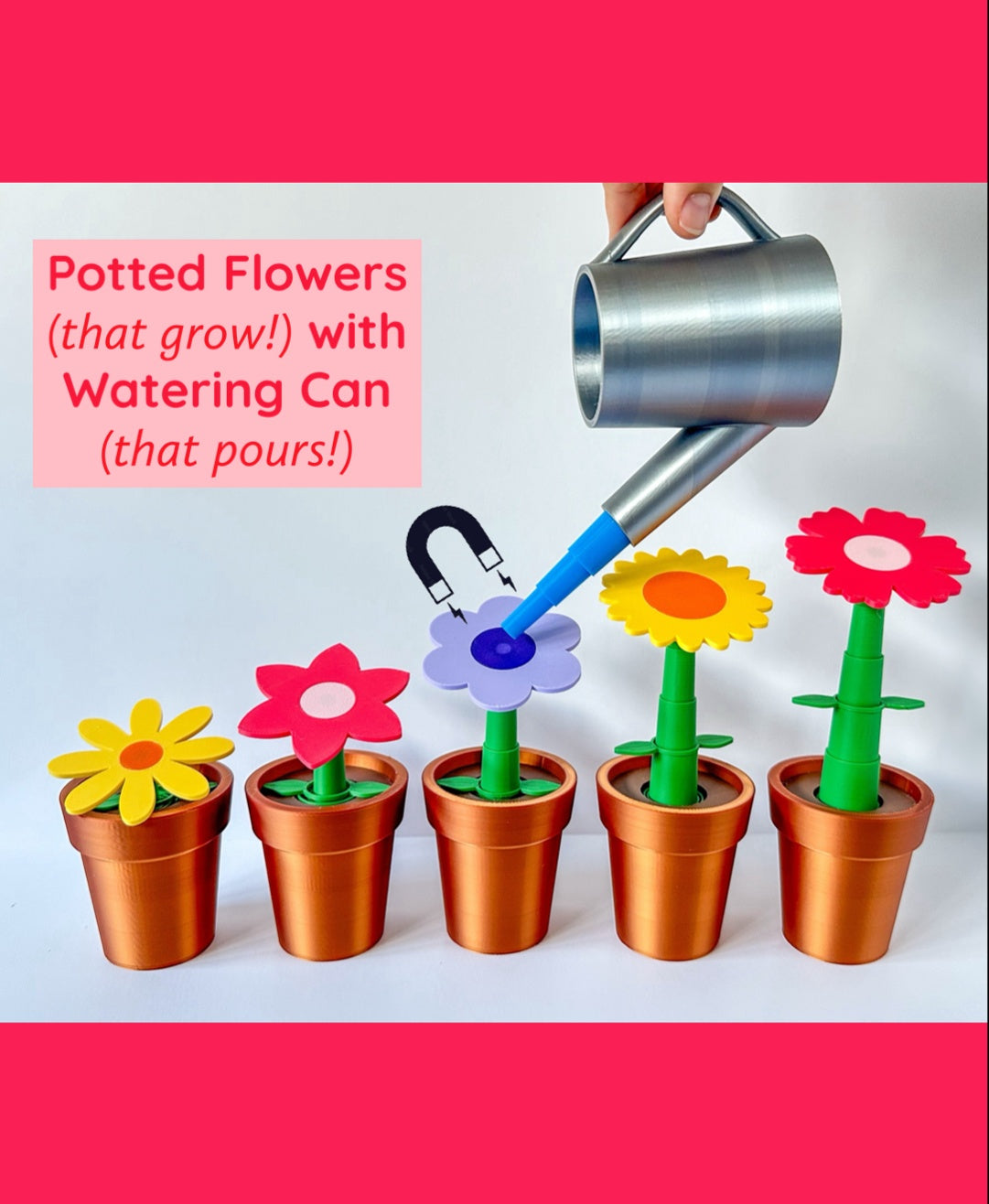 Potted Flowers and Watering Can