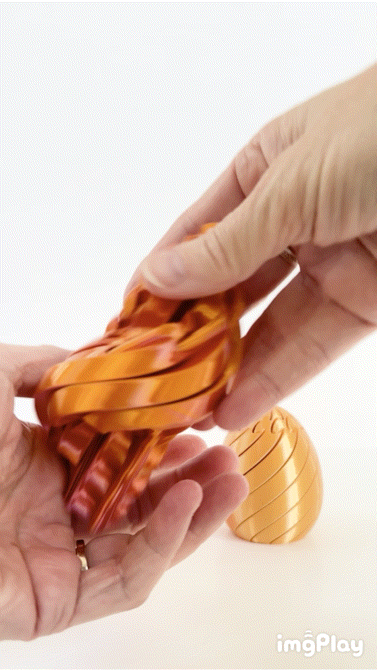 Twisty Fidget Egg