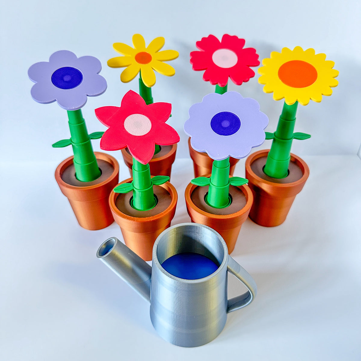 Potted Flowers and Watering Can