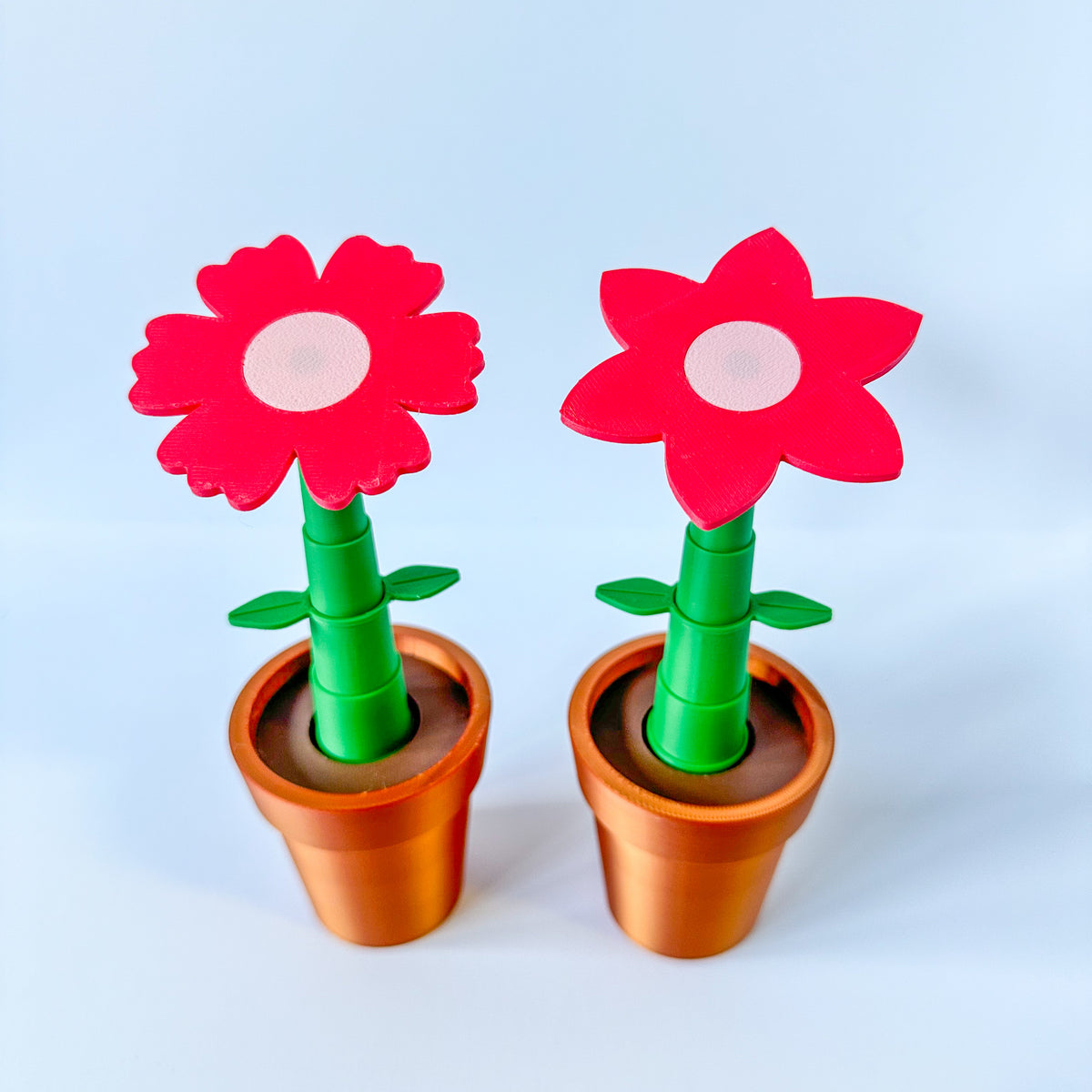 Potted Flowers and Watering Can