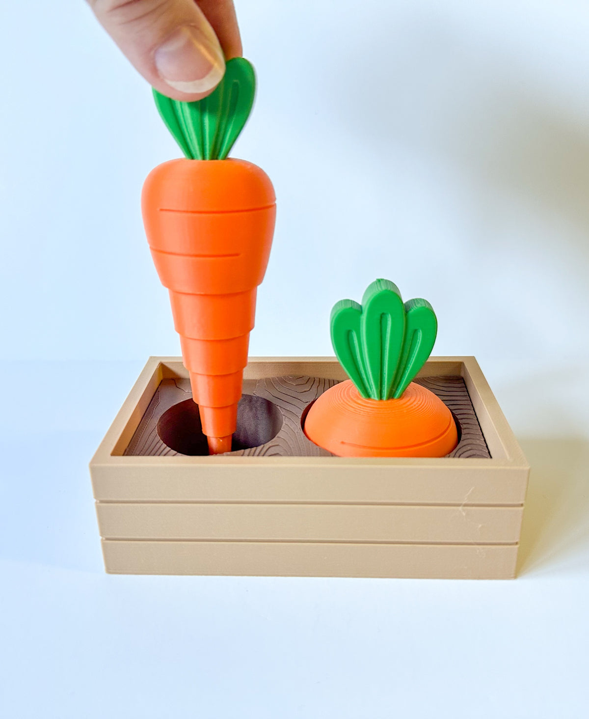 Carrot Garden Fidget