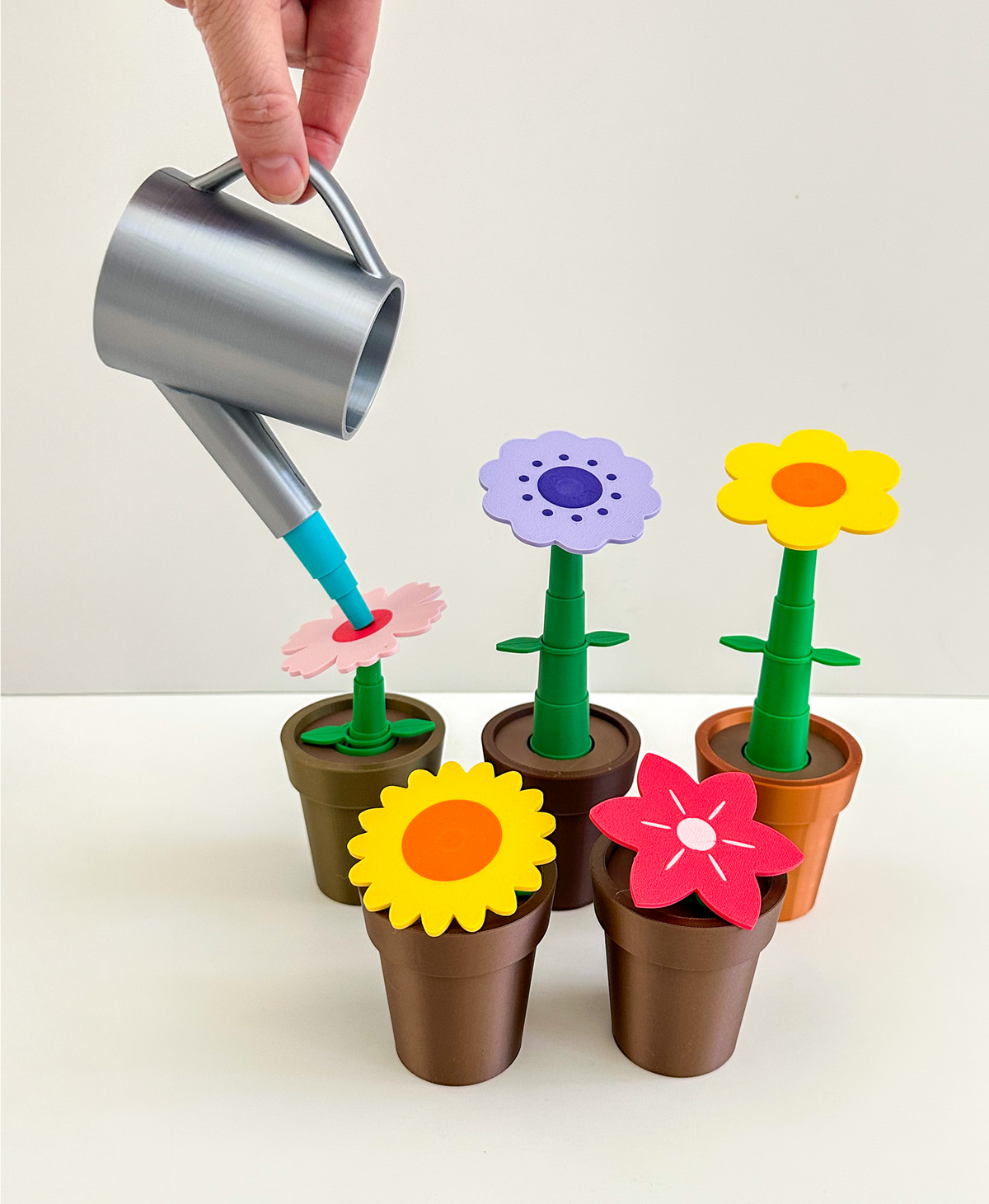 Potted Flowers and Watering Can